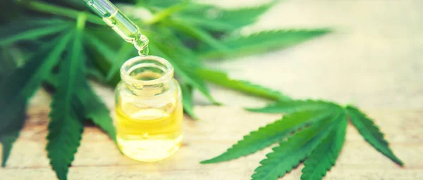 Extracto Cannabis Una Botella Pequeña Enfoque Selectivo Naturaleza — Foto de Stock