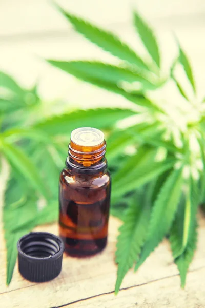 Cannabis Extract Small Bottle Selective Focus Nature — Stock Photo, Image