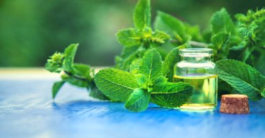 Küçük bir şişede nane yağı. Seçici odaklanma. Doğa.