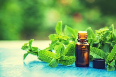 Küçük bir şişede nane yağı. Seçici odaklanma. Doğa.