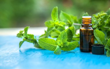 Küçük bir şişede nane yağı. Seçici odaklanma. Doğa.
