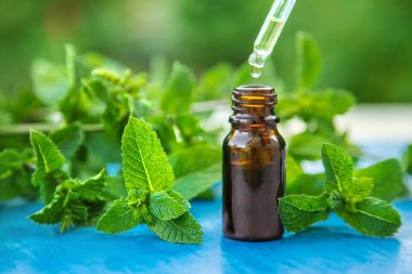 Küçük bir şişede nane yağı. Seçici odaklanma. Doğa.