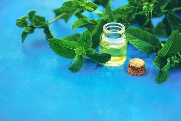 Óleo Essencial Hortelã Pimenta Uma Pequena Garrafa Foco Seletivo Natureza — Fotografia de Stock