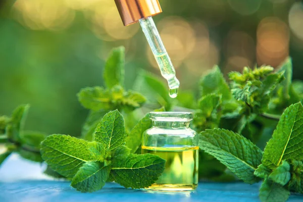 Aceite Esencial Menta Una Botella Pequeña Enfoque Selectivo Naturaleza — Foto de Stock