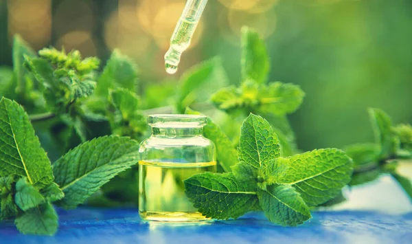 Aceite Esencial Menta Una Botella Pequeña Enfoque Selectivo Naturaleza — Foto de Stock