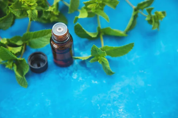 Peppermint essential oil in a small bottle. Selective focus. nature.