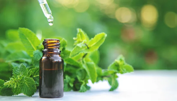 Peppermint Essential Oil Small Bottle Selective Focus Nature — Stock Photo, Image
