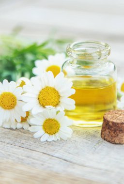 Papatya yağı küçük bir şişede. Seçici odaklanma. Doğa.