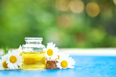 Papatya yağı küçük bir şişede. Seçici odaklanma. Doğa.