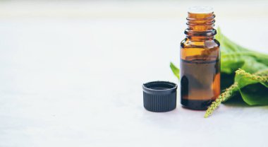 Küçük bir şişede bitki özü. Seçici odaklanma. Doğa.