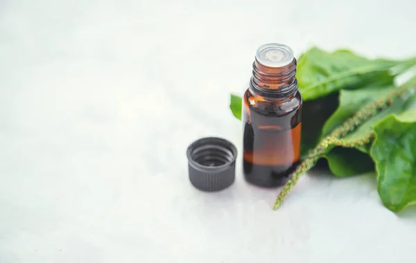 Plantain extract in a small bottle. Selective focus. nature.