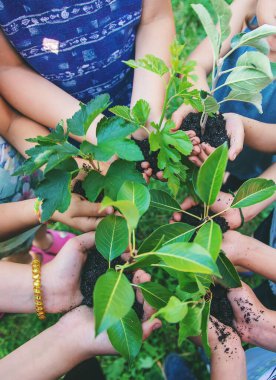Çocuklar toprağı ve ağaçları ellerinde tutuyor. Seçici odaklanma. Doğa.