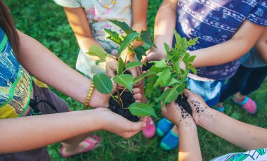 Çocuklar toprağı ve ağaçları ellerinde tutuyor. Seçici odaklanma. Doğa.