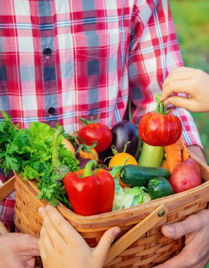 Bir adam çiftçi ve bir çocuk ellerinde sebze hasadı tutuyorlar. Seçici odaklanma. Doğa.