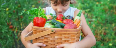 Bir çocuk elinde sebze hasadı tutuyor. Seçici odaklanma. Doğa.