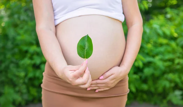 Barriga Grávida Com Uma Folha Foco Seletivo Pessoas — Fotografia de Stock