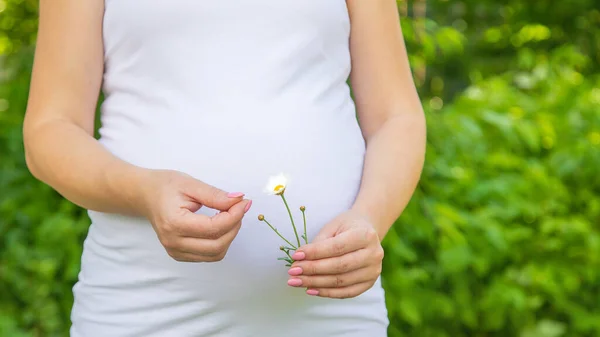 Mujer Embarazada Con Una Manzanilla Las Manos Enfoque Selectivo Naturaleza — Foto de Stock