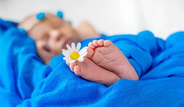 Bebé Recién Nacido Durmiendo Sobre Fondo Azul Enfoque Selectivo Gente — Foto de Stock