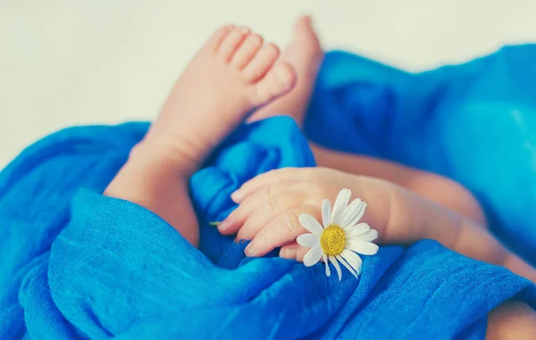 Bebé Recién Nacido Sostiene Una Flor Manzanilla Enfoque Selectivo Gente — Foto de Stock