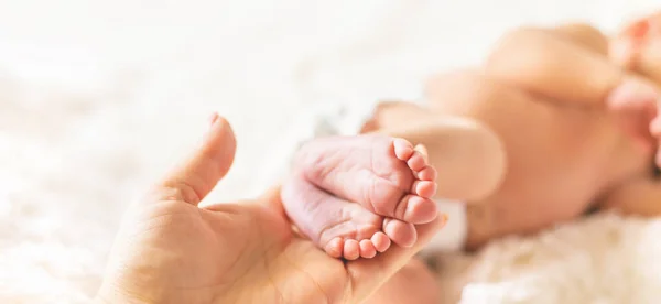 Newborn Baby Mom Holds Legs Selective Focus People — Stock Photo, Image