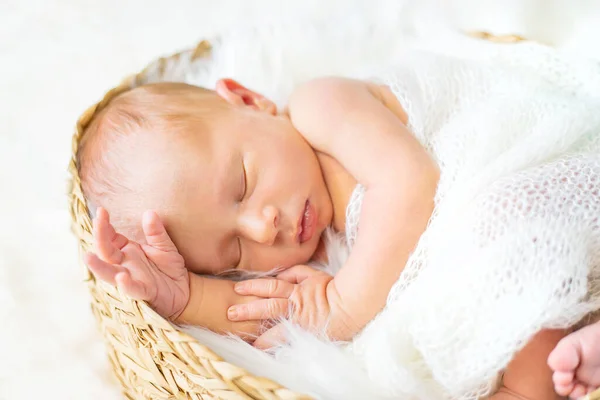 Neugeborenes Baby Schlafend Auf Weißem Hintergrund Selektiver Fokus Menschen — Stockfoto