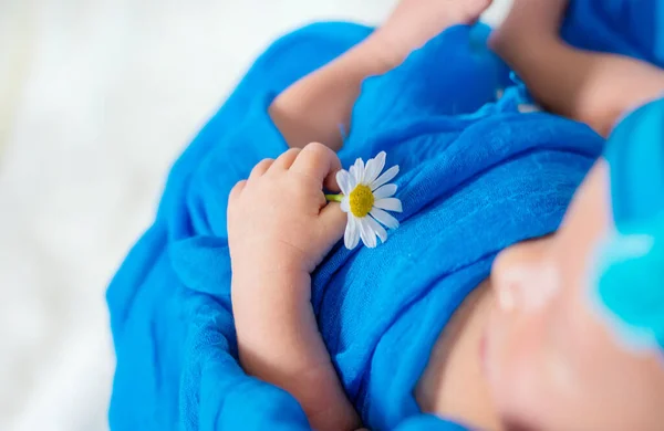 Bebé Recién Nacido Sostiene Una Flor Manzanilla Enfoque Selectivo Gente — Foto de Stock