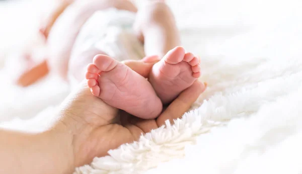 新生児の母親は足を持ってる 選択的集中 人々は — ストック写真