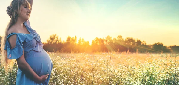 Donna Incinta Con Camomilla Mano Concentrazione Selettiva Natura — Foto Stock