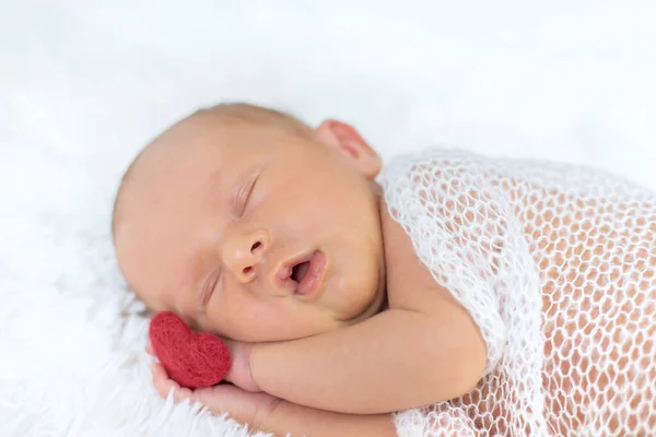 Newborn Baby Sleeping White Background Selective Focus People — Stock Photo, Image