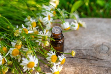 Alternatif tıp ve kozmetik ürünleri için papatya çayı. Seçici odaklanma. Doğa.