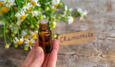 Alternatif tıp ve kozmetik ürünleri için papatya çayı. Seçici odaklanma. Doğa.