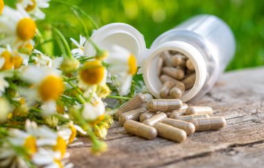 Alternatif tıp ve kozmetik ürünleri için papatya çayı. Seçici odaklanma. Doğa.