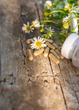 Alternatif tıp ve kozmetik ürünleri için papatya çayı. Seçici odaklanma. Doğa.