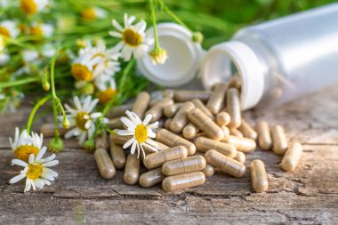 Alternatif tıp ve kozmetik ürünleri için papatya çayı. Seçici odaklanma. Doğa.