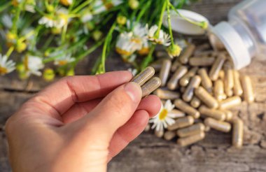 Alternatif tıp ve kozmetik ürünleri için papatya çayı. Seçici odaklanma. Doğa.