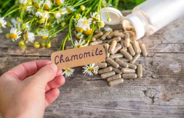 Alternatif tıp ve kozmetik ürünleri için papatya çayı. Seçici odaklanma. Doğa.