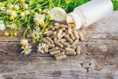 Alternatif tıp ve kozmetik ürünleri için papatya çayı. Seçici odaklanma. Doğa.