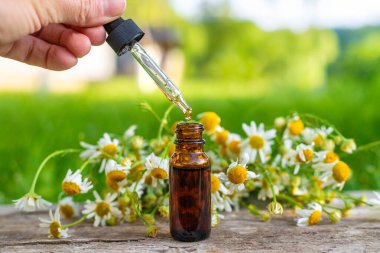 Alternatif tıp ve kozmetik ürünleri için papatya çayı. Seçici odaklanma. Doğa.