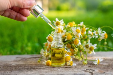 Alternatif tıp ve kozmetik ürünleri için papatya çayı. Seçici odaklanma. Doğa.