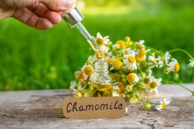 Alternatif tıp ve kozmetik ürünleri için papatya çayı. Seçici odaklanma. Doğa.