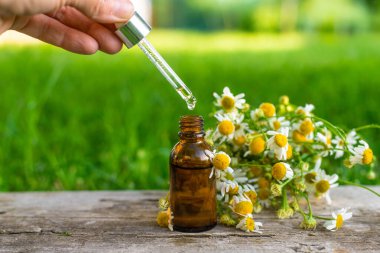 Alternatif tıp ve kozmetik ürünleri için papatya çayı. Seçici odaklanma. Doğa.