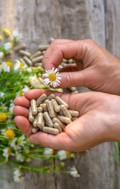 Alternatif tıp ve kozmetik ürünleri için papatya çayı. Seçici odaklanma. Doğa.