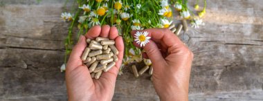 Alternatif tıp ve kozmetik ürünleri için papatya çayı. Seçici odaklanma. Doğa.