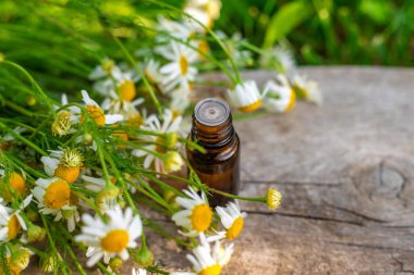 Alternatif tıp ve kozmetik ürünleri için papatya çayı. Seçici odaklanma. Doğa.