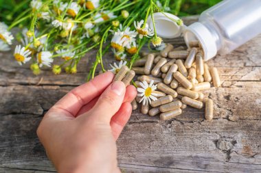 Alternatif tıp ve kozmetik ürünleri için papatya çayı. Seçici odaklanma. Doğa.