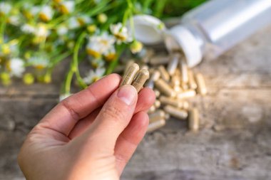 Alternatif tıp ve kozmetik ürünleri için papatya çayı. Seçici odaklanma. Doğa.