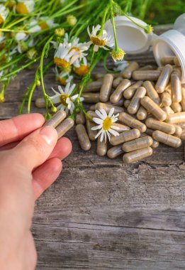 Alternatif tıp ve kozmetik ürünleri için papatya çayı. Seçici odaklanma. Doğa.