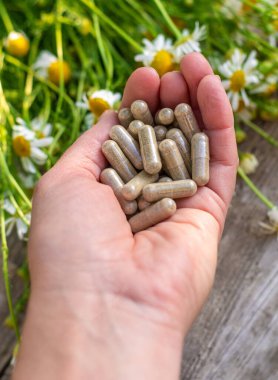 Alternatif tıp ve kozmetik ürünleri için papatya çayı. Seçici odaklanma. Doğa.