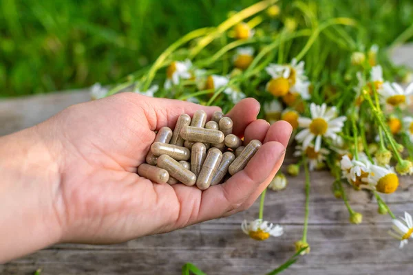 Alternatif tıp ve kozmetik ürünleri için papatya çayı. Seçici odaklanma. Doğa.