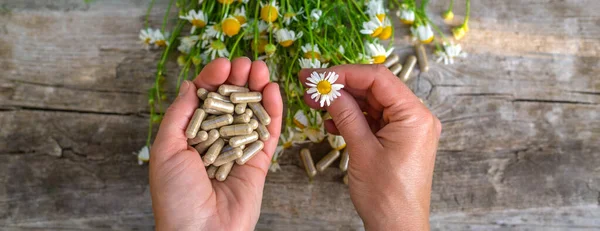 Alternatif tıp ve kozmetik ürünleri için papatya çayı. Seçici odaklanma. Doğa.
